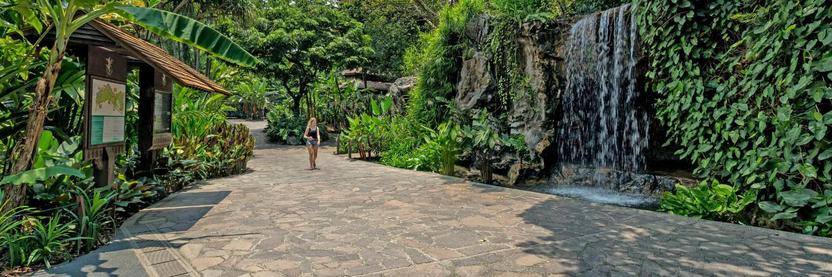 Kebun Bunga Singapura